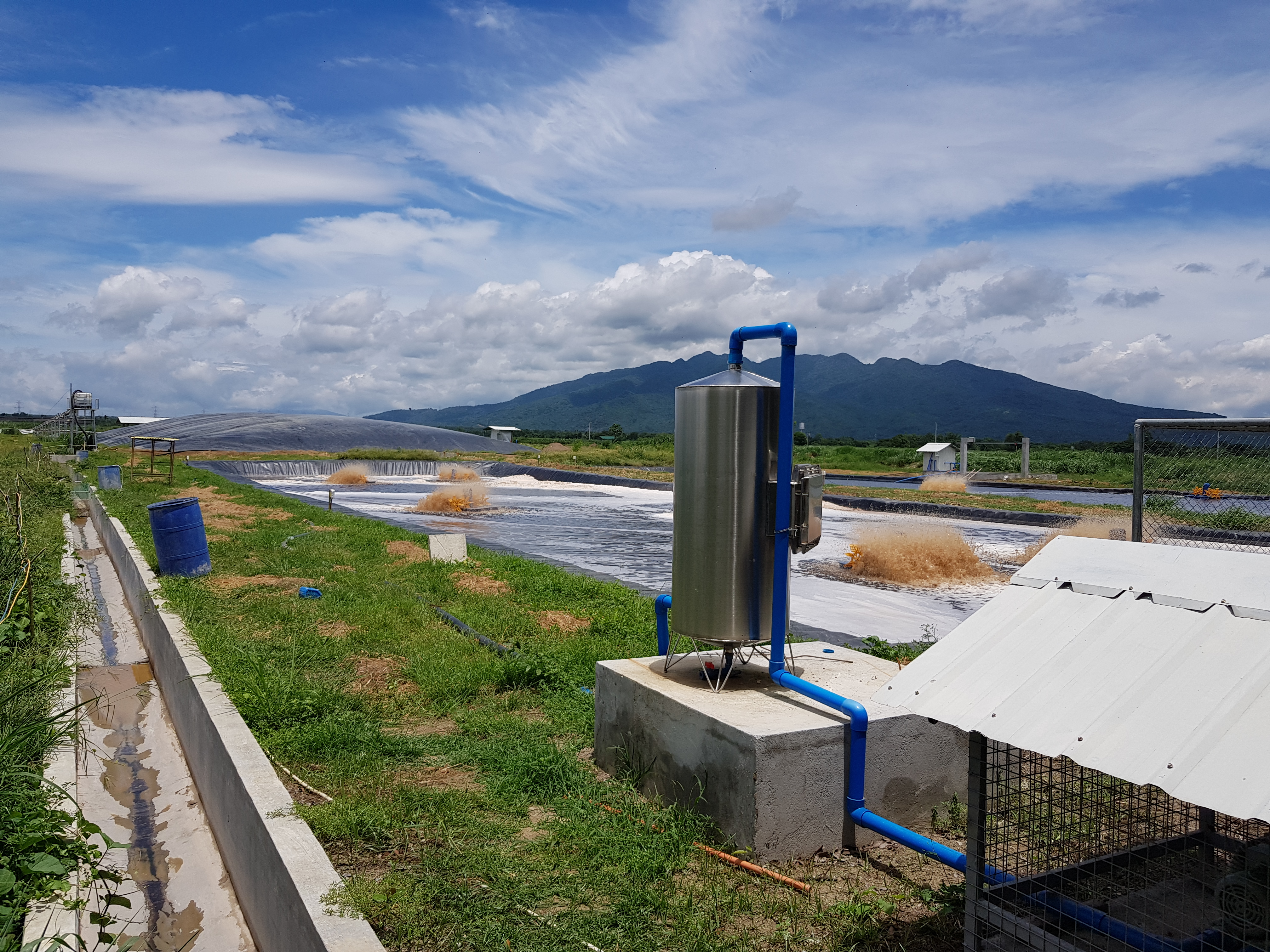 Biogas System Project